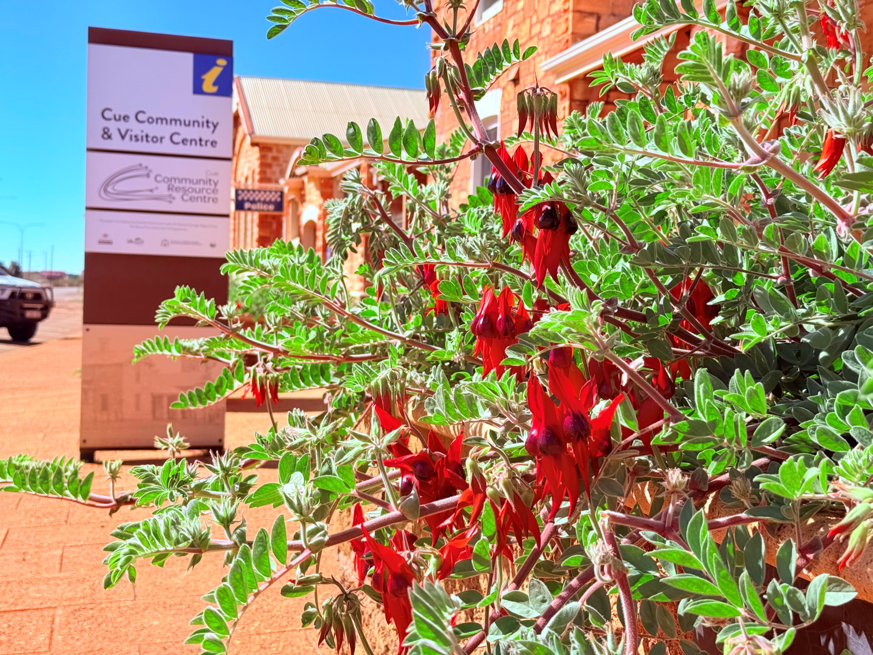 Cue Community Resource Centre and Visitor Centre