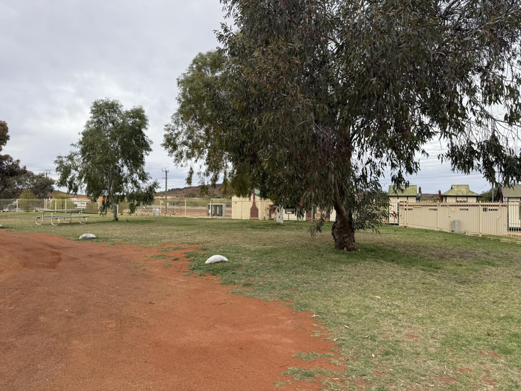 Grassed caravan site at Cue Tourist Park